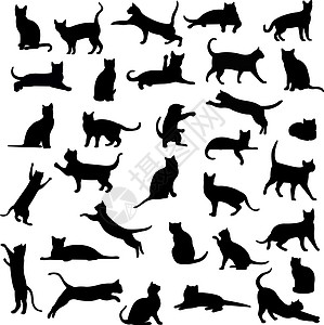 猫类猫咪活动跳跃团体睡眠宠物绘画小猫冒充插图图片