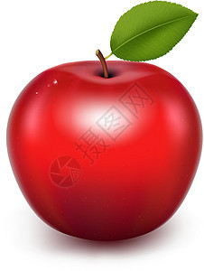 红苹果花园水果食物节食反射果汁饮食甜点生态叶子图片