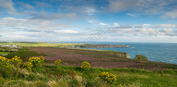 北威尔士州海岸线草原旅行岩石天气天空悬崖绿色海洋海岸图片