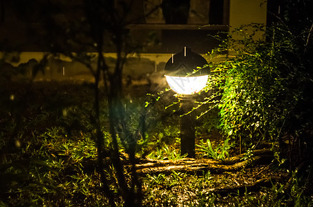 神秘灯笼灯光衬套黄色绿色雨滴黑色素森林时间木头图片