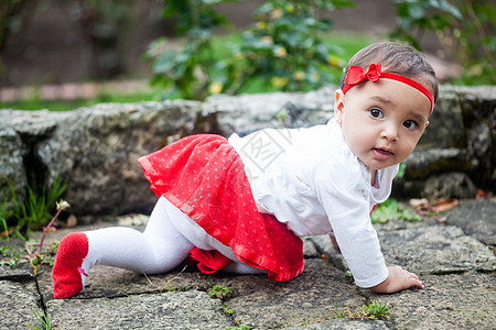 在花园里穿红色衣服的女婴婴儿压痛阳光孩子黄色女孩女儿喜悦幸福花朵图片