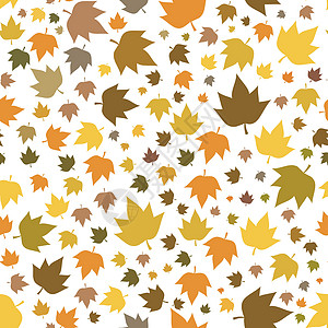 秋季为新背景留下无缝的顺秋图案橡木橙子树叶叶子插图植物白色季节装饰品黄色图片