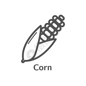 玉米细线矢量图标 用于菜单 标签 徽标的孤立玉米蔬菜线性样式 简单的素食食品标志标识农业农民花瓣产品插图营养饮食粮食农场图片