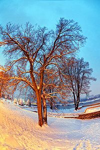 贝尔格莱德堡垒和加雪的Kalemegdan公园建筑学纪念碑旅游景观橙子城堡天空首都观光石头图片