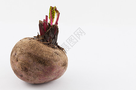 Beetroot 贝塔粗俗 以白色背景隔离土壤甜菜蔬菜维生素紫色农业食物块茎健康工作室图片