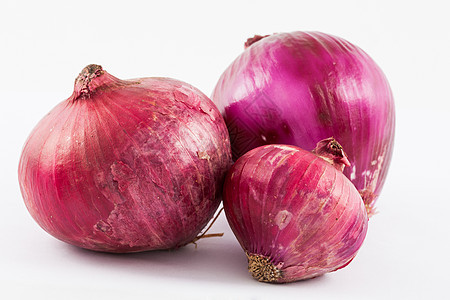 白底隔离的红灯泡洋葱蔬菜农业紫色工作室白色红色维生素食物营养洋葱图片