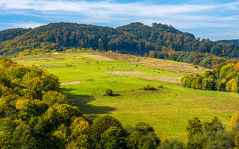喀尔巴阡山丘上的农村牧场图片