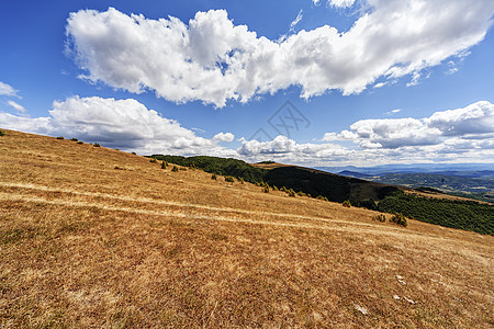 山地景观和全景环境旅行爬坡树木岩石森林草地太阳蓝色天空图片