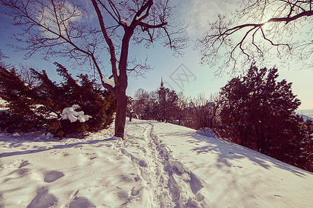 雪雪中的曲脚踪迹公园娱乐天气远足季节小路森林国家白色图片