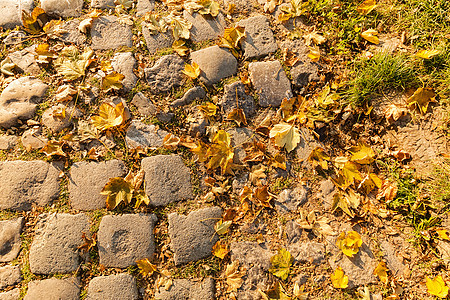 石块轨迹绿化棕色人行道园林花园公园小路植物石头矩形背景图片