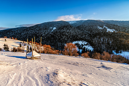 在冬山的山坡上被砍伐的木头建筑蓝色小屋爬坡谷仓旅行天空晴天森林房子图片