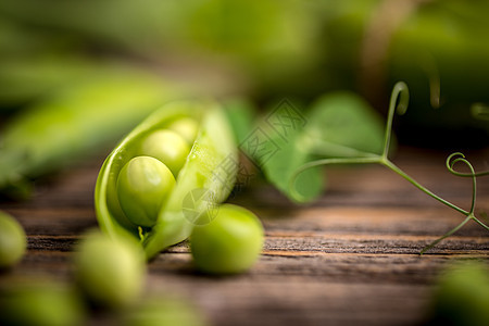 新鲜绿豆收成蔬菜豆类营养小吃农业绿色食物宏观水果图片