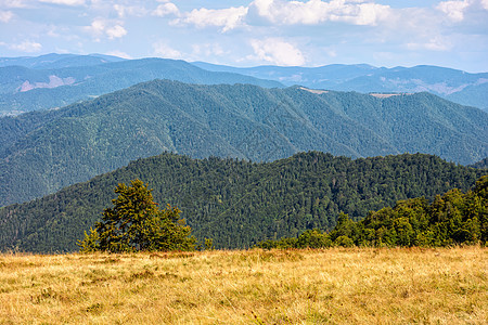 深夏夏夏末山地景观天空旅行木头山坡荒野远足场景旅游石头顶峰图片