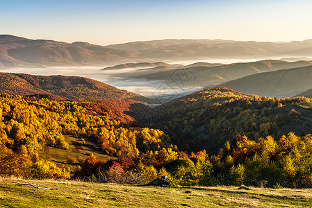 山中炎热的日出 弥漫着寒雾红色黄色绿色旅行环境植物森林季节阴霾爬坡图片
