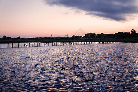 在鸭子游泳的湖上 日落海滩天空旅行女性蓝色亚速太阳野生动物家庭紫色图片