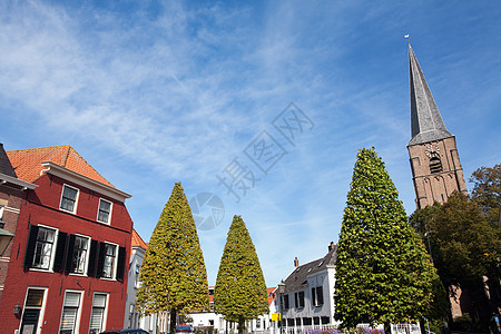 荷兰教堂的村观和乡村观 荷兰图片