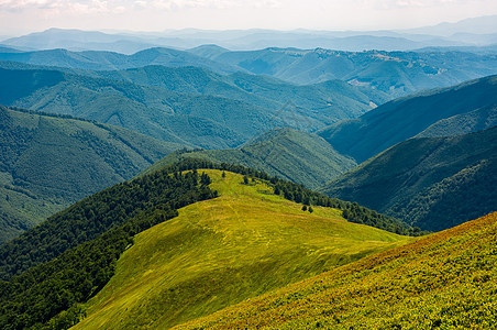 夏季山上草原草地国家场地晴天木头天气旅行山坡风景土地环境图片