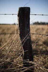 铁丝网围栏和铁丝网金属农业土地农场农村图片