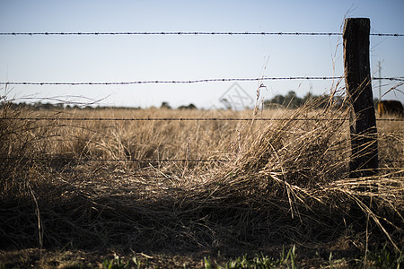 铁丝网围栏和铁丝网农村土地金属农场农业图片