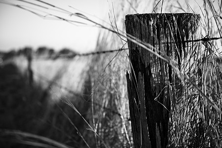 铁丝网围栏和铁丝网农村土地农场农业金属图片