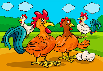 鸡鸡字符组卡通插图图片