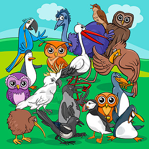 鸟群卡通它制作图案漫画鸟类鹦鹉企鹅奇异果羽毛夜莺插图团伙野生动物图片