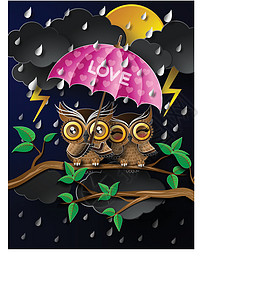 雨中打伞的猫头鹰图片