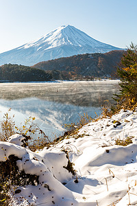 红土城秋末 川口子藤风雪花园薄雾红假芦苇红树火山公吨光洋枫树杂草背景