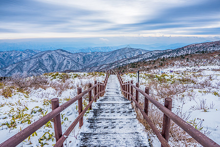 韩国山峰冬季风景白雪森林季节滑雪图片