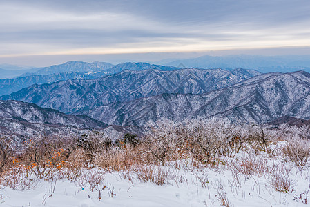 韩国山峰冬季风景白雪季节滑雪森林图片