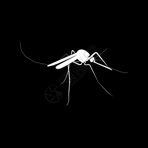 蚊子是图标吸血寄生虫白色感染疟疾动物发烧寄生昆虫疾病图片
