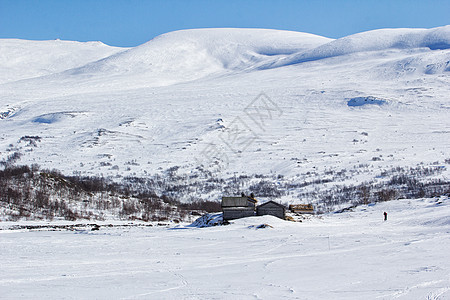 温冬约顿海明国家公园松木视图荒野天空蓝色雪山松树山岭气候极地图片