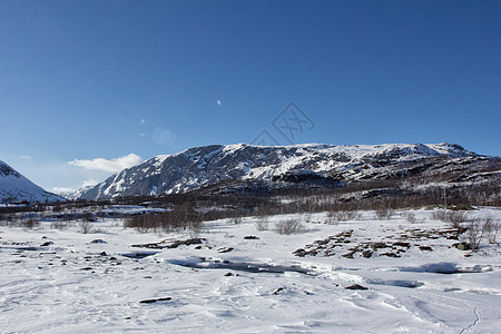 温冬约顿海明国家公园松树园景星系林地荒野场景银河系山岭全景松木图片