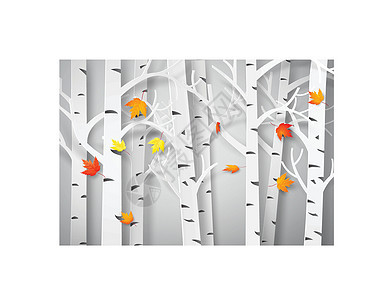 枫叶飘落的秋季森林环境季节性黄色橙子季节红色棕色生态叶子植物学图片