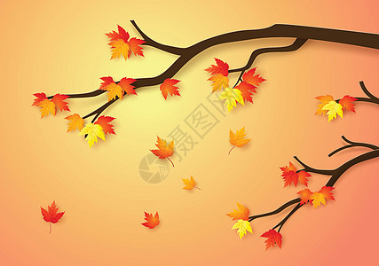 枫叶飘落的秋季森林植物环境叶子木头棕色生态黄色漩涡红色季节性图片