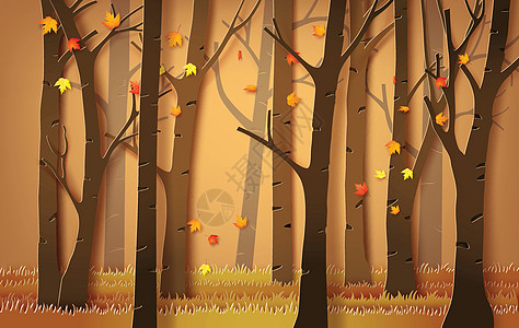 枫叶飘落的秋季森林植物学季节性黄色叶子橙子植物季节活力漩涡飞行图片