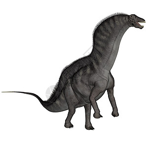 阿马加龙恐龙  3D rende插图古生物学动物巨龙白色食草爬虫灭绝草食性脊椎动物图片