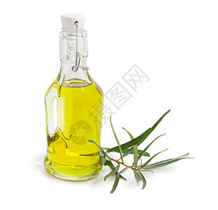 一瓶橄榄油和橄榄枝植物油维生素树叶食物植物农业沙拉酱香气收成瓶子图片