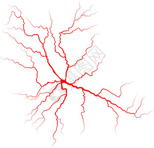 静脉血液系统矢量符号图标设计 美丽的怡乐思药品插图眼睛卡片动脉宏观船只横幅卡通片标识图片