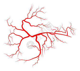 蜘蛛静脉矢量符号图标设计 美丽的插图我治疗疾病硬化静脉曲张卫生疼痛女性身体血管药品图片