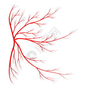 蜘蛛静脉矢量符号图标设计 美丽的插图我身体皮肤药品保健卡通片疼痛静脉炎血管树干疗法图片