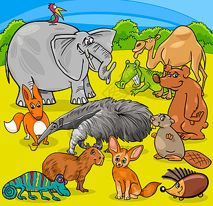 哺乳动物动漫动物字符组海狸插图野生动物收藏动物园单峰漫画狐狸食蚁兽水豚插画