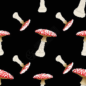 黑色背景上的蘑菇高手无缝图案植物收藏插图红色食物绘画季节森林艺术图片