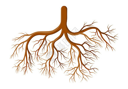 根植物卡通矢量符号图标设计 美丽的插图图片