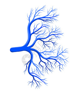 人体血管蓝色矢量符号图标设计心电图心血管毛细管心脏病学插图静脉流动动脉标识氧化物图片
