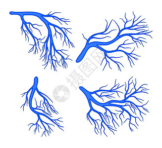 人体血管蓝色设置矢量符号图标设计图片