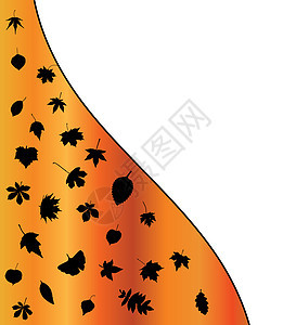 秋天叶子剪影背景的例证 橙色壁纸设计桦木收藏植物树叶黑色插图植物群蕨类季节橡木图片