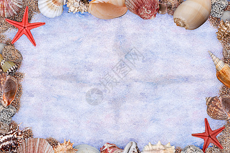 贝壳框架热带装饰品蓝色海岸海洋镶边假期贝类白色扇贝图片