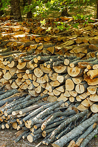 一堆原木贮存日志工业木材砍伐树干材料伐木机林业森林图片