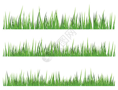 绿草孤立的矢量符号图标设计土地横幅环境杂草场地植物草皮卡片标识插图图片